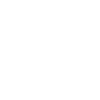 Asset Protection Icon